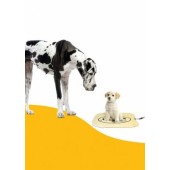 Materasso riscaldante PetMat