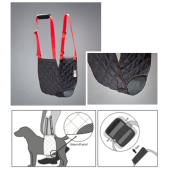 Finimento cani invalidi