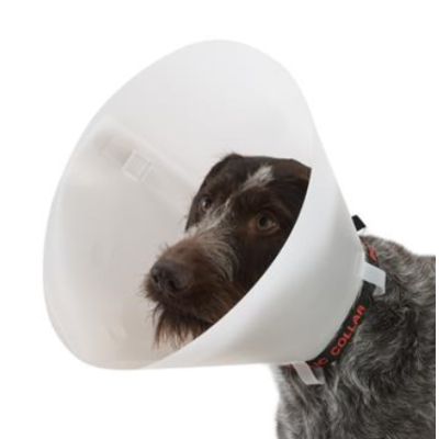 Collare Buster cani e gatti