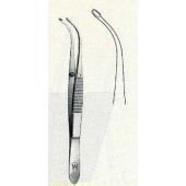 Pinza capsulare Arruga