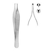 Pinza chirurgica Adson 1x2...